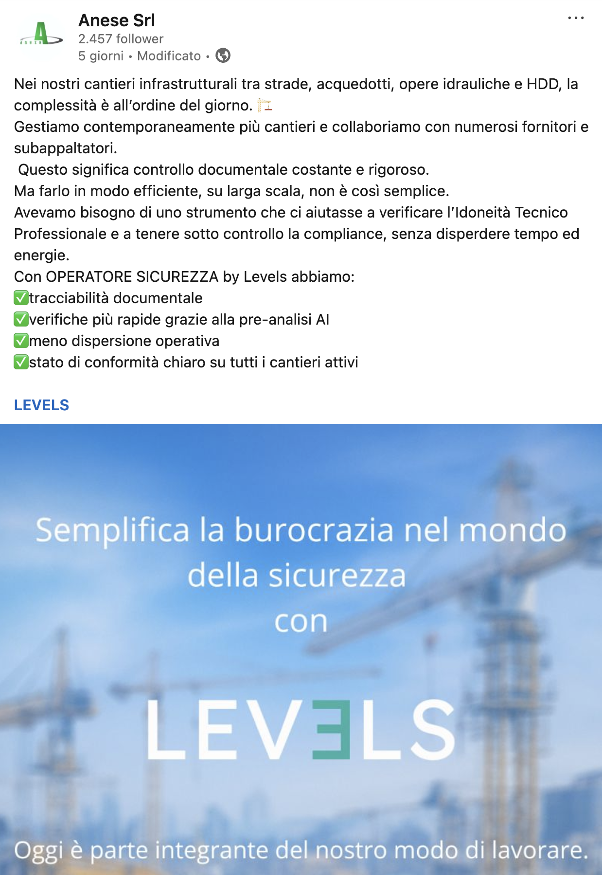 Testimonianza LinkedIn di Anese